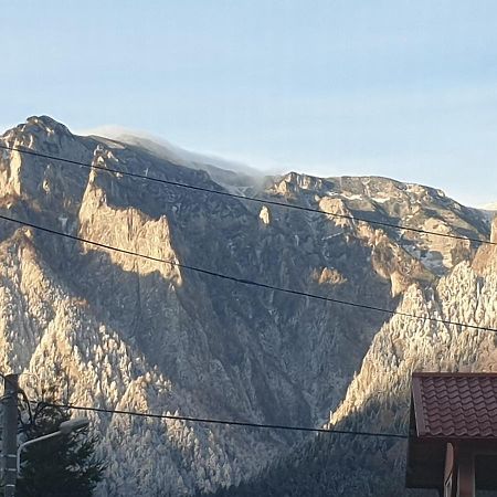 Mountain Break Azuga Ski Luaran gambar