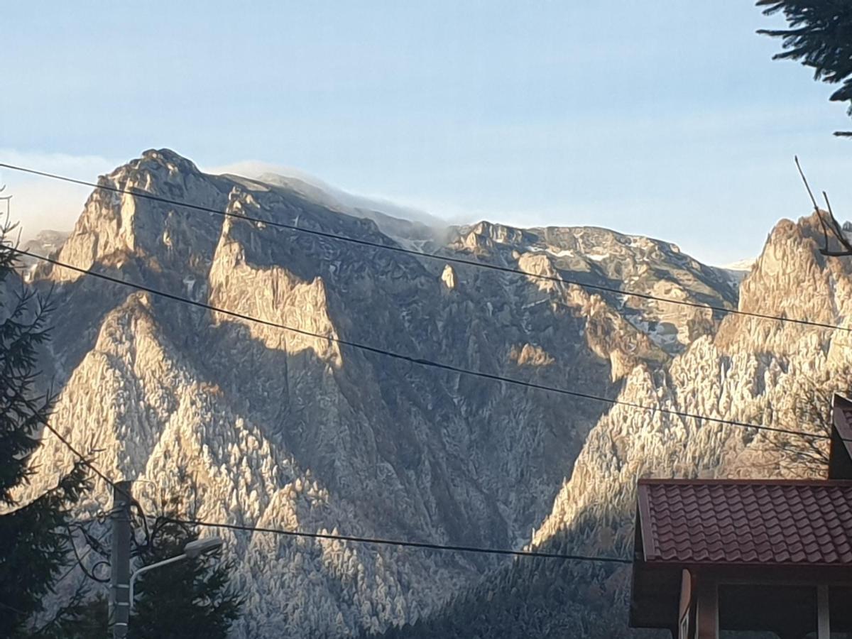 Mountain Break Azuga Ski Luaran gambar